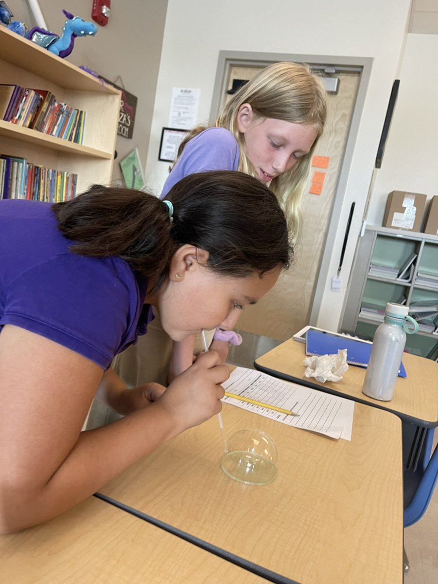dragonsOCPS's tweet photo. Another magical week at VPE! Our Dragons are learning through innovative and engaging lessons inside and outside the classroom.
ADVENTURE is everywhere!
#vpedragons #vpelevelup #dragonmagic @Southeast_OCPS @OCPSnews @JohannaForFL https://t.co/43ljs8H1ok