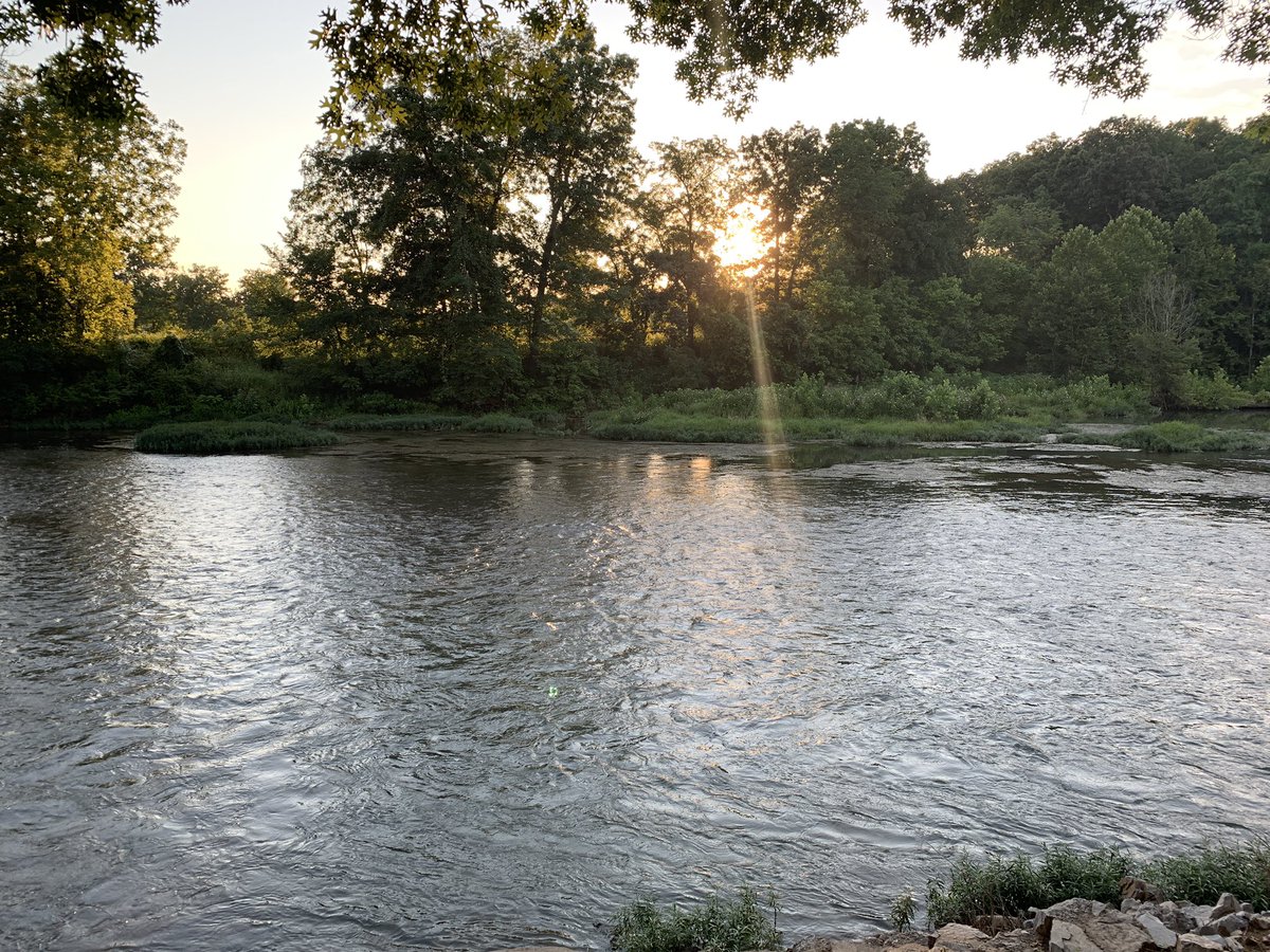 chrisbillings's tweet photo. #goldenhour #springriver #saddlerfalls https://t.co/xBsxL31tOJ