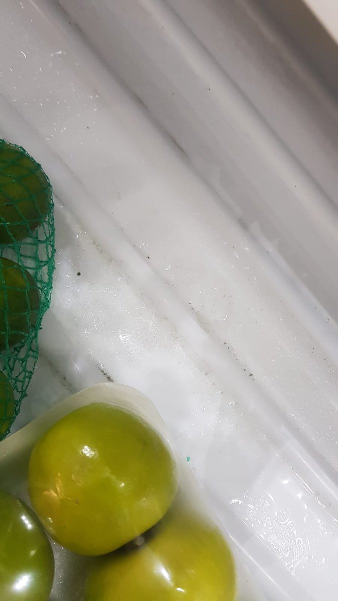 lancadena's tweet photo. @SamsungMobileCO @SamsungCO Activa tus sentidos,denunciemos los malos productos y pésimo servicio al cliente y post venta #Samsung vean con sus sentidos mi nevera dañada y asquerosa con hongos, hielo y agua  #NoComproSamsung #NoComprenSamsung  @sicsuper @SamsungResponde @MincomercioCo @MONYRODRIGUEZOF https://t.co/l7rkUYMSMM