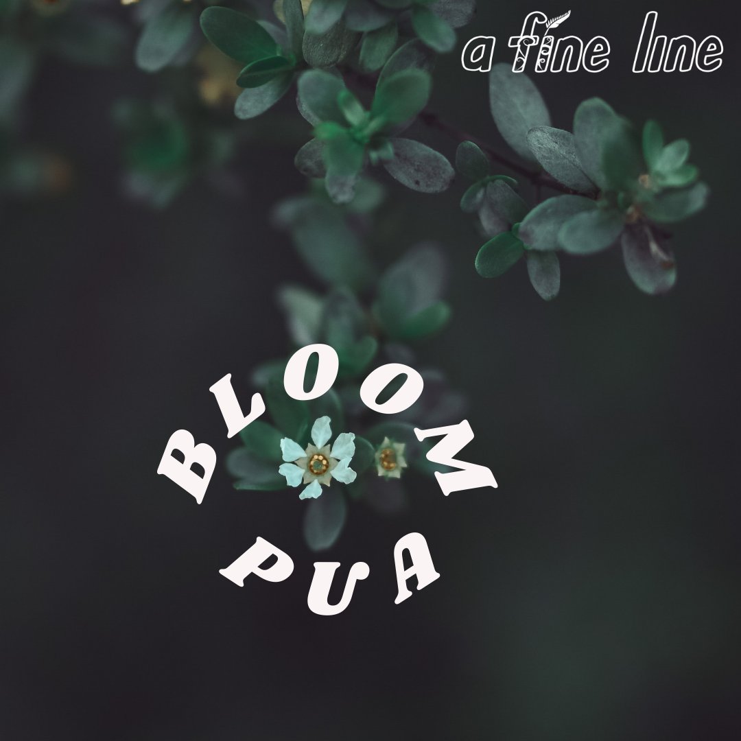 NZ Poetry Society tweet media