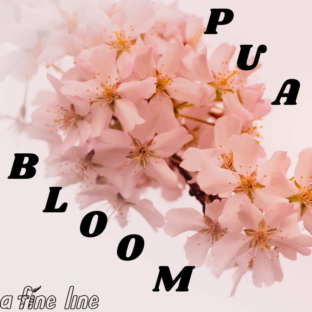 NZ Poetry Society tweet media