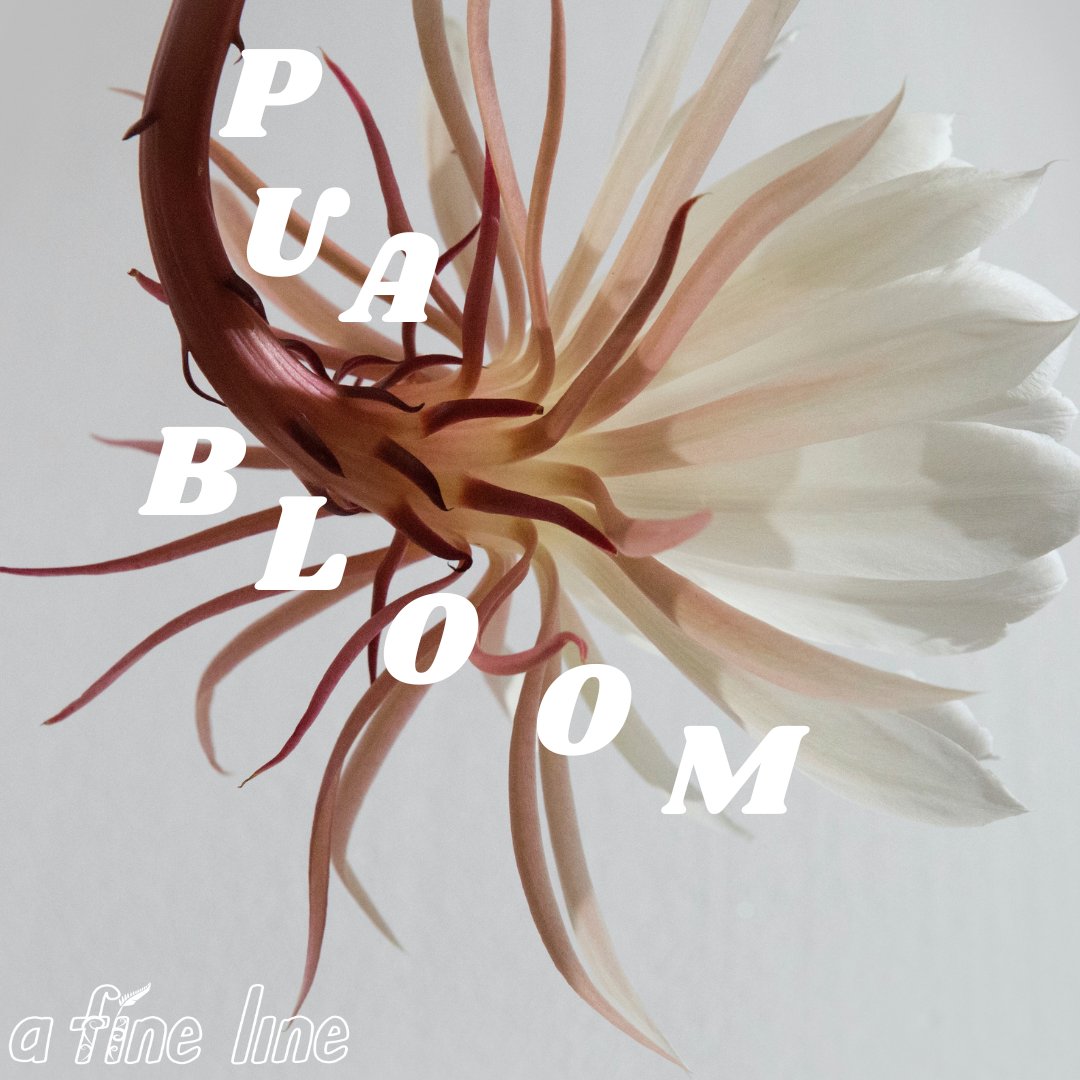 NZ Poetry Society tweet media