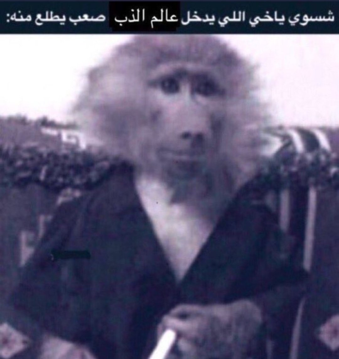 ___HAMDAN_'s tweet photo. @a_mamk @chapaty_0 https://t.co/BmXCzoUxv1