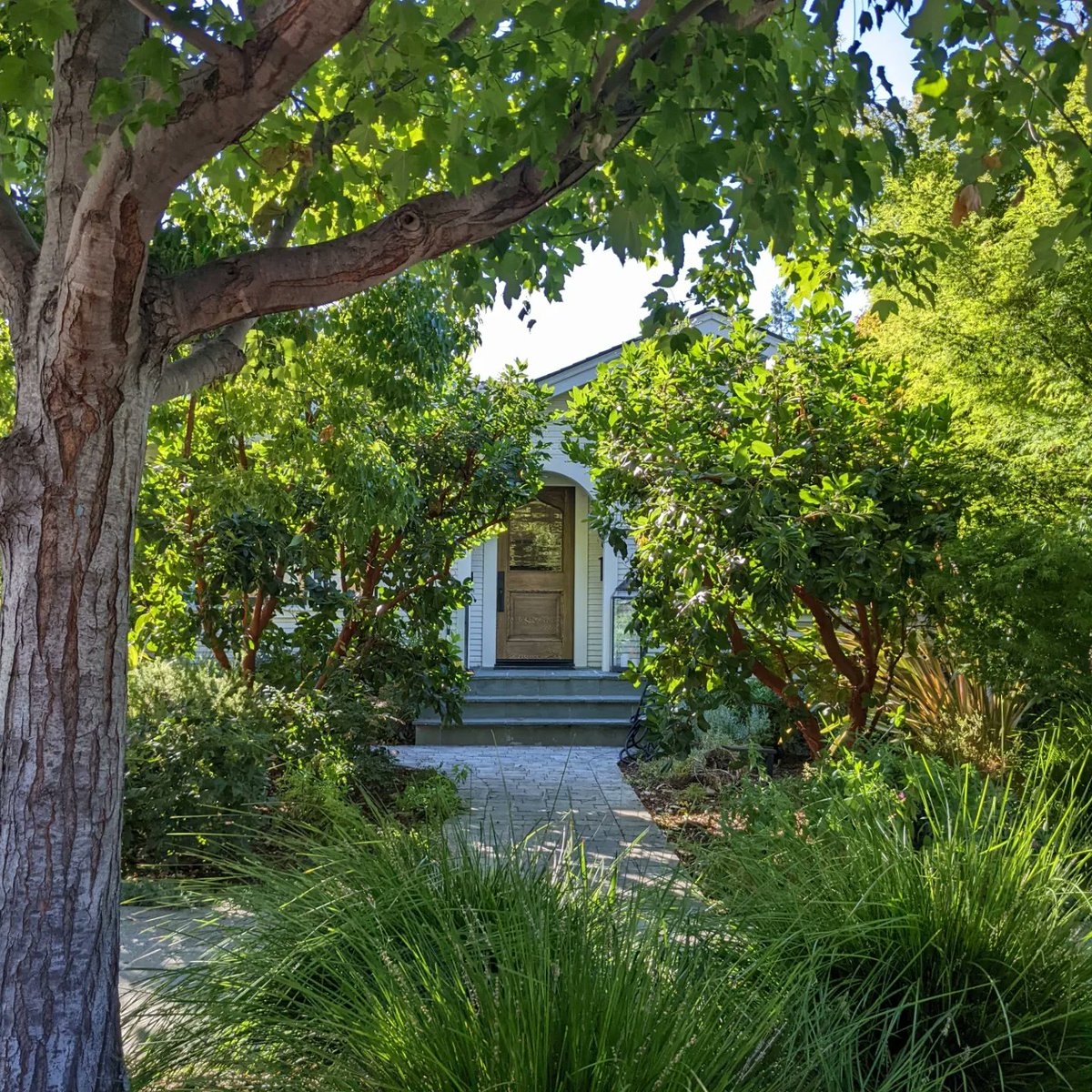 Adriana Porter Felt tweet media