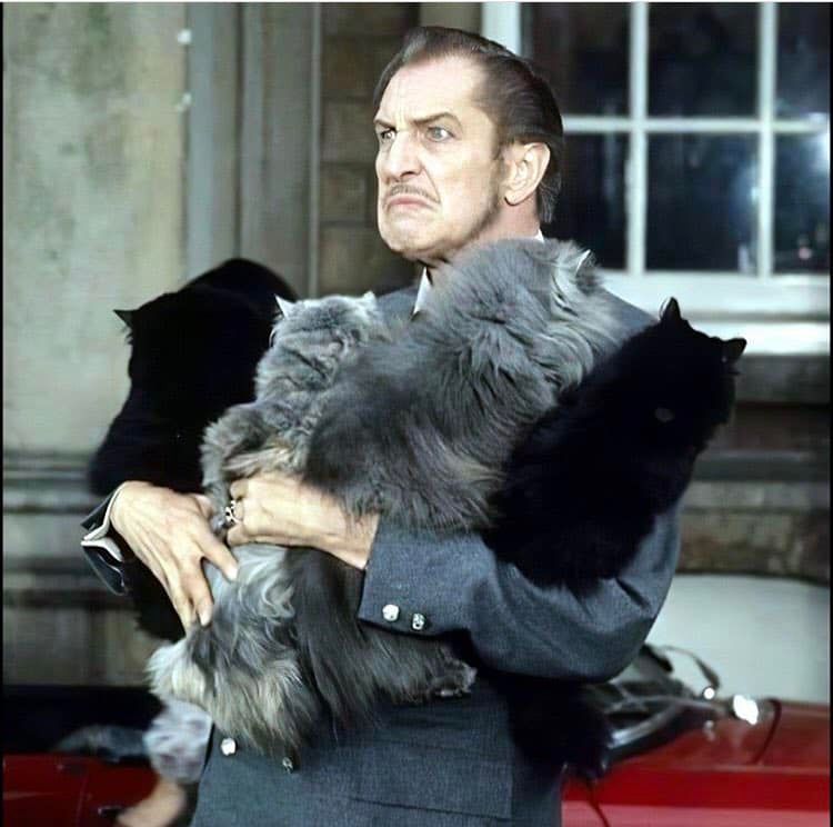 Vincent Price and an armload of cats 1971