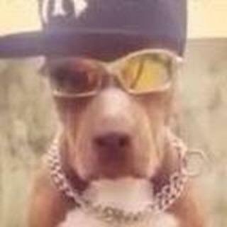 🫵🏿 (@killerralt) on Twitter photo 