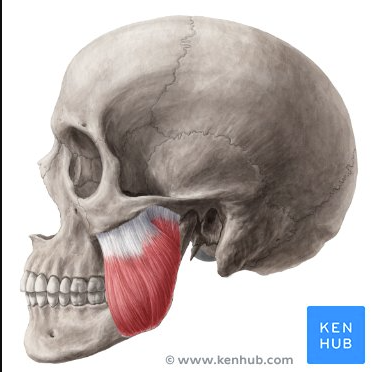 Brandon Beery tweet media
