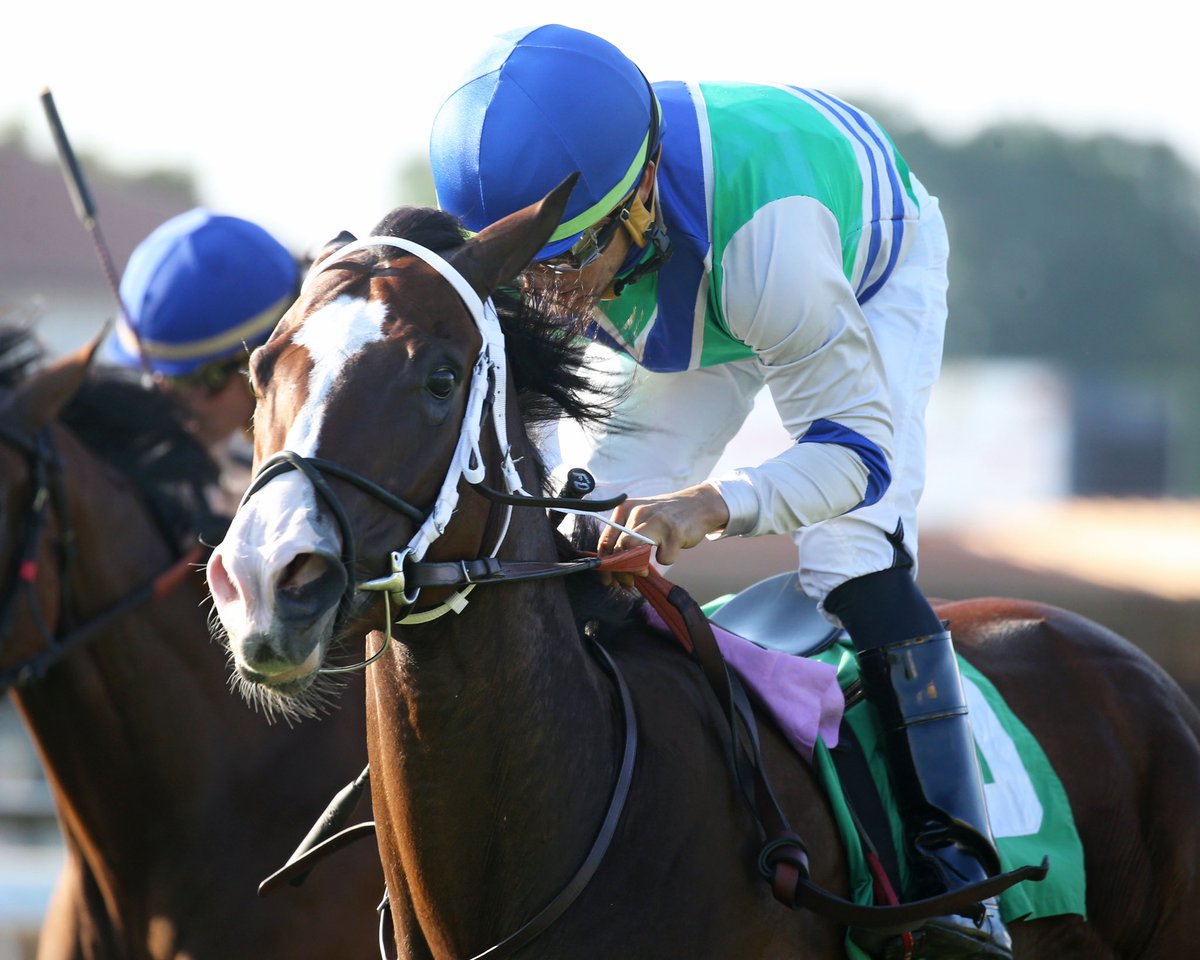 Liz Morris (@lizzym333) on Twitter photo Congratulations & Thank you to Team <a href="/jbark131/">Jason Barkley</a> for the Alw turf win with Quick Munny #Munnings !!! <a href="/gabe__saez/">Gabriel Saez</a> in the irons. courtesy of @CoadyPhoto !!! Congratulations & Thank you to Team <a href="/jbark131/">Jason Barkley</a> for the Alw turf win with Quick Munny #Munnings !!! <a href="/gabe__saez/">Gabriel Saez</a> in the irons. courtesy of @CoadyPhoto !!!