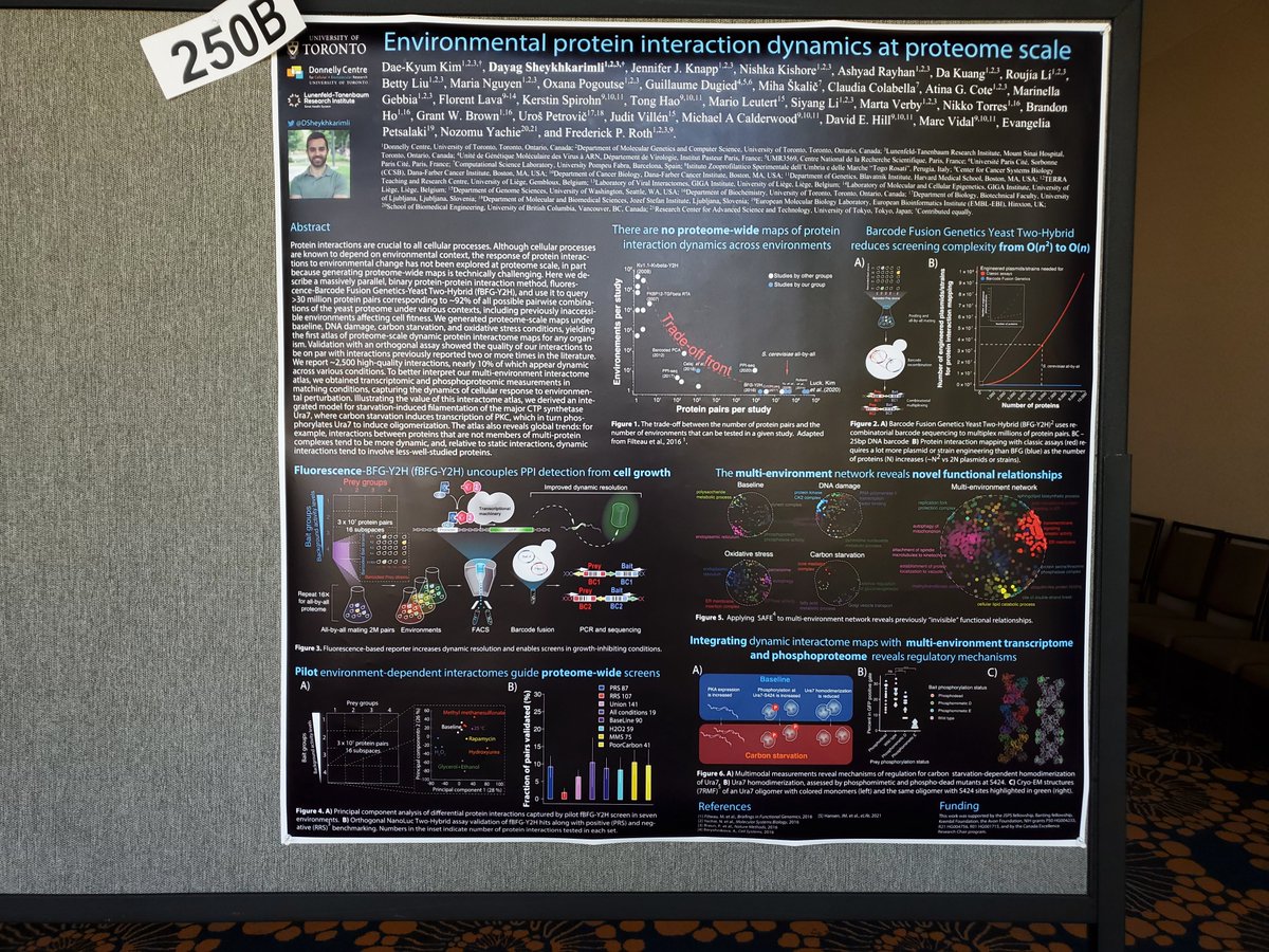 #Yeast22 come by poster #250 to find out how the BFG is carrying giant protein interactomes across environments:)