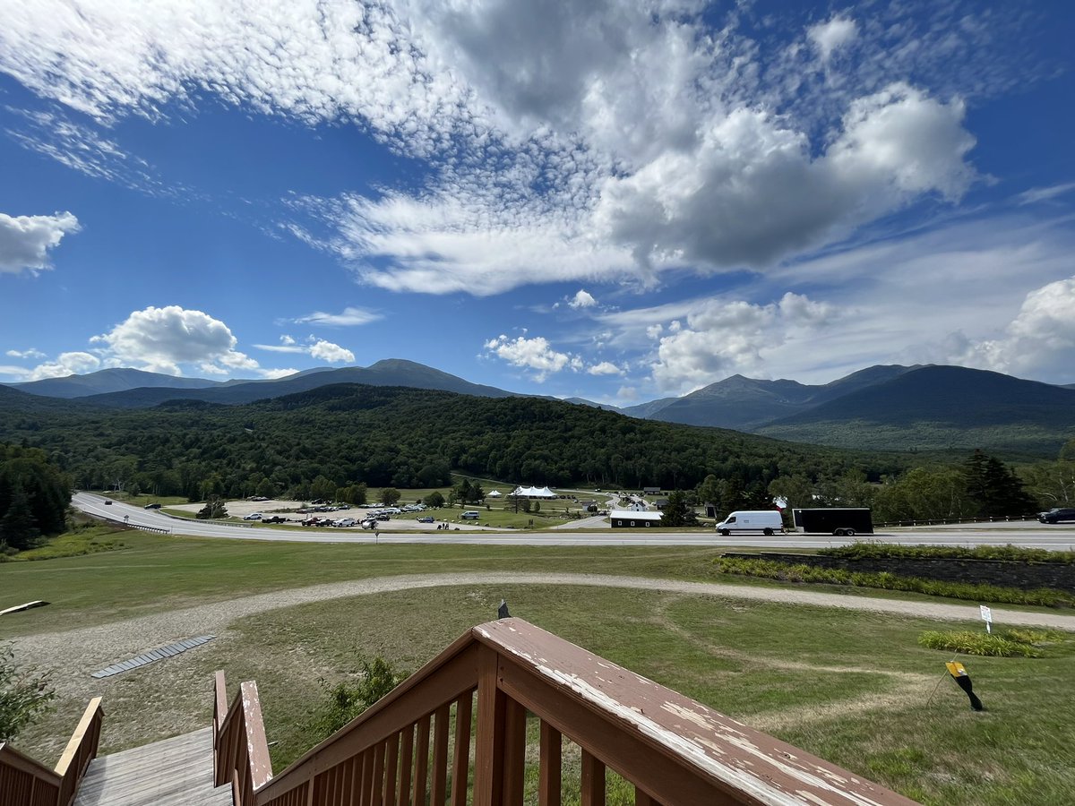 Feelin Froggy tweet media