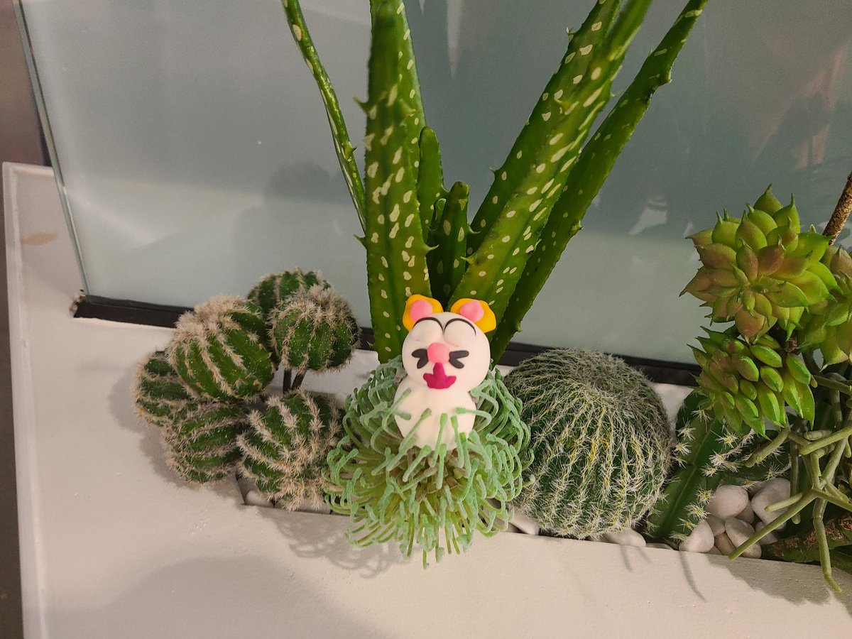 We took an amazing field trip to Indeed with <a href="/cox_comets/">Cox_Comets</a> leadership this week. I was inspired to create more collaborative spaces and self-care stations for our students and staff <a href="/CoxLibraryLISD/">CoxLibraryLISD</a>.