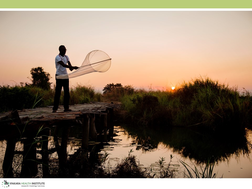 Fredros Okumu tweet media