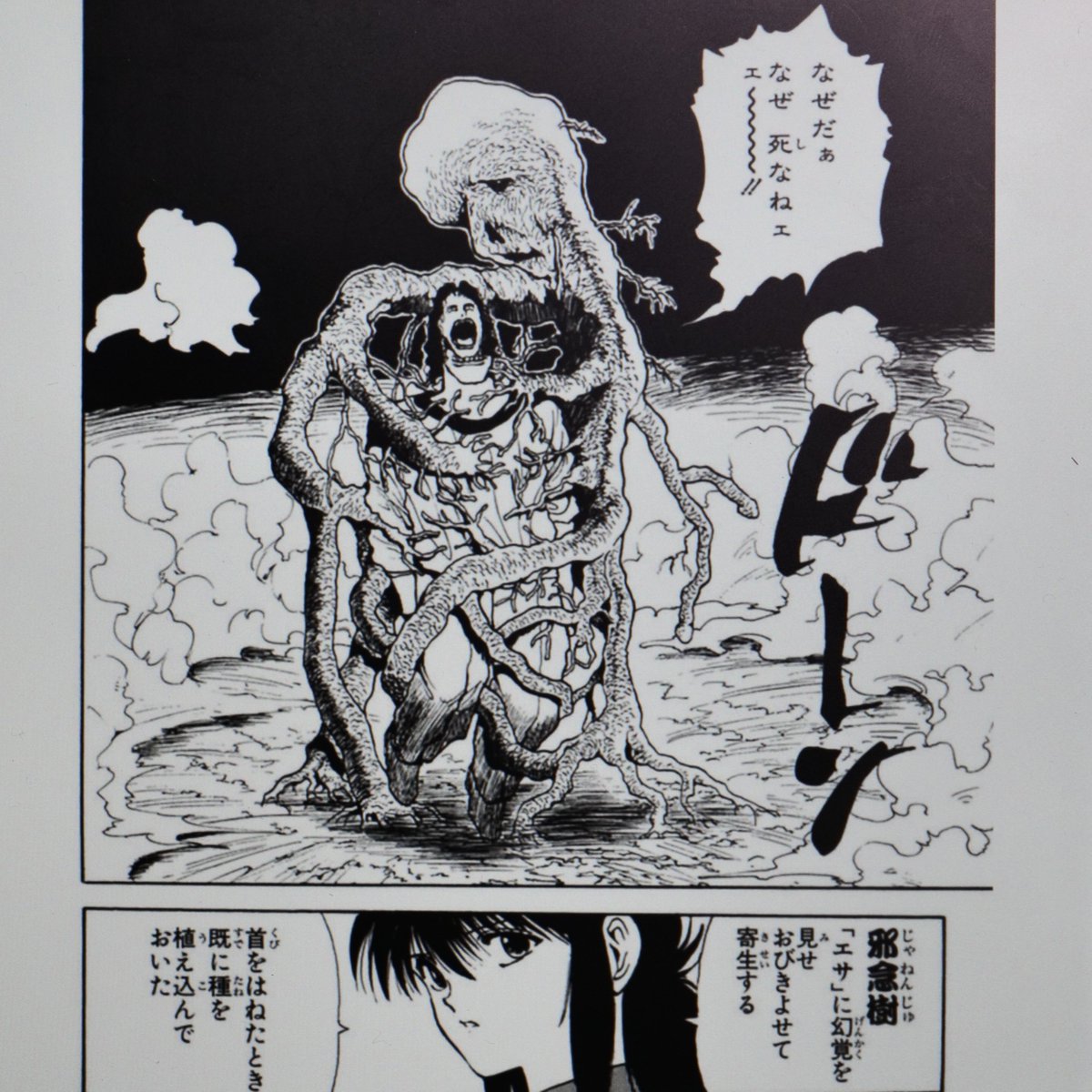 @n_kawahara 闇落ちしたらお店にヤバイ珍奇植物が並ぶんでしょうねw 