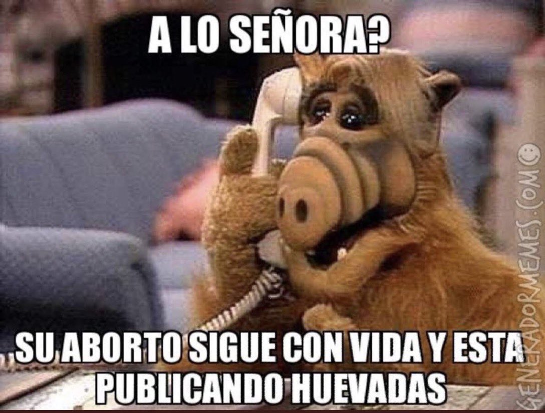 TriniGomezD's tweet photo. @Gr_rv @gabrielboric Esta si que la cagó! https://t.co/uto5uY23ZK