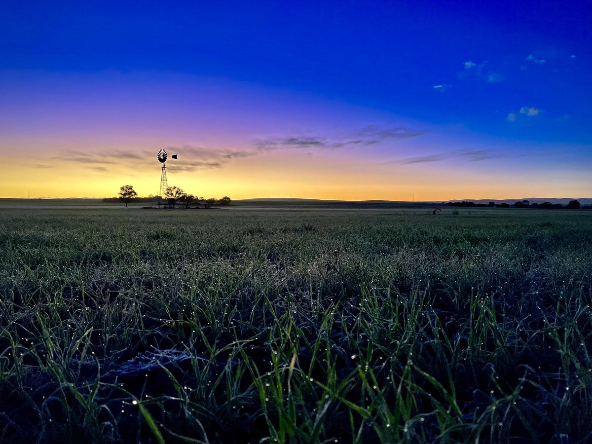 alexsymondsAU's tweet photo. A stunning reward for our crew leaving Laura early one morning recently. Albeit a bit frosty on a winters morning.

#AlexanderSymonds #Laura #SouthAustralia #surveying https://t.co/KjiaJQbNWC