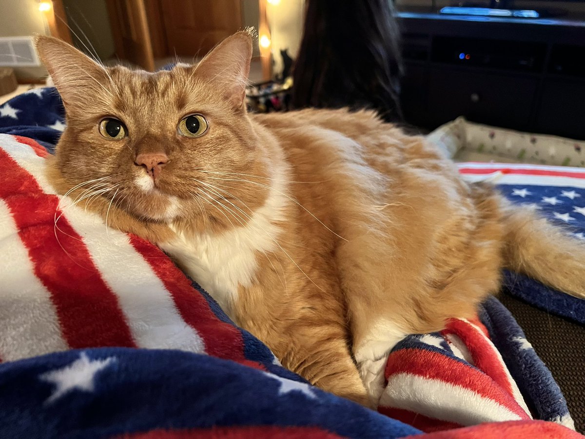 ItsMeDeaner's tweet photo. My @OfficialOPLive watch buddy #OPLive #opnation #OPLpets https://t.co/oNIJF0V5PL