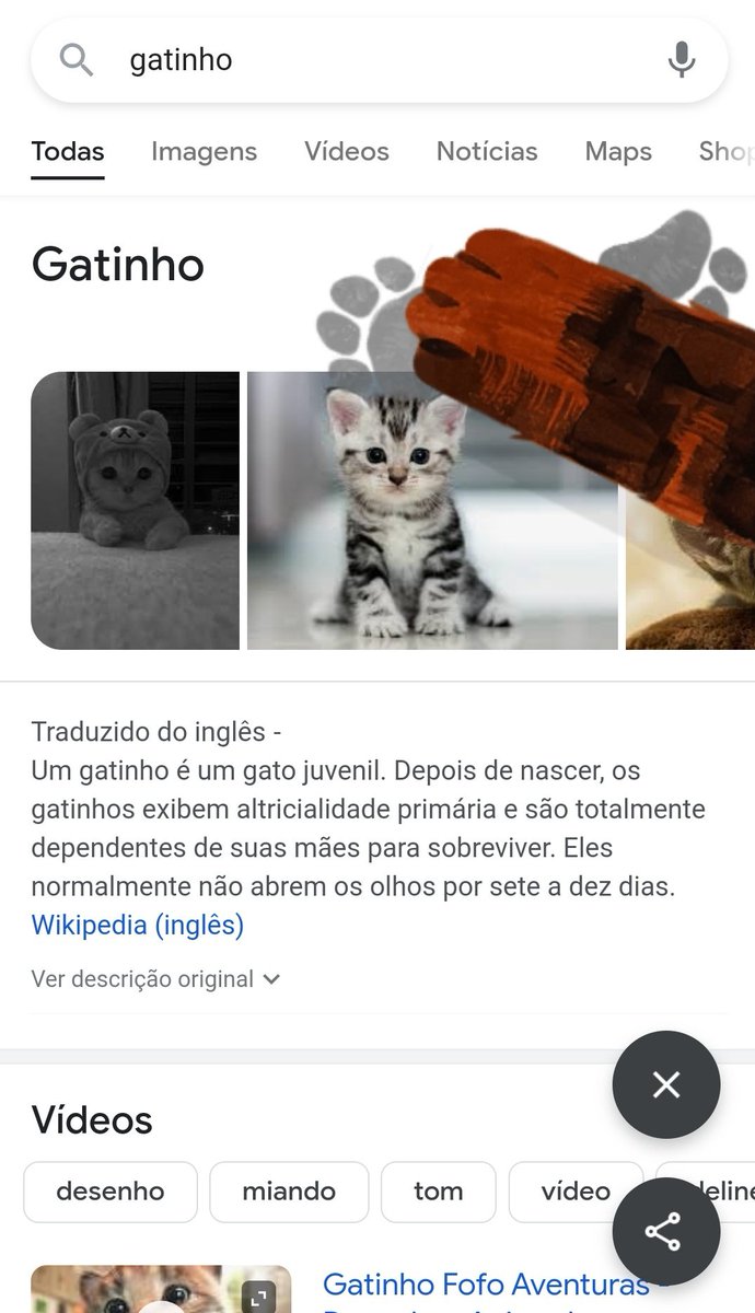 thayofsaturn's tweet photo. se vc pesquisar "gatinho" e apertar no botão laranja qlqr canto da tela q vc clicar vai vir uma pata de gato e deixar uma pegada https://t.co/QOIZWeecDA