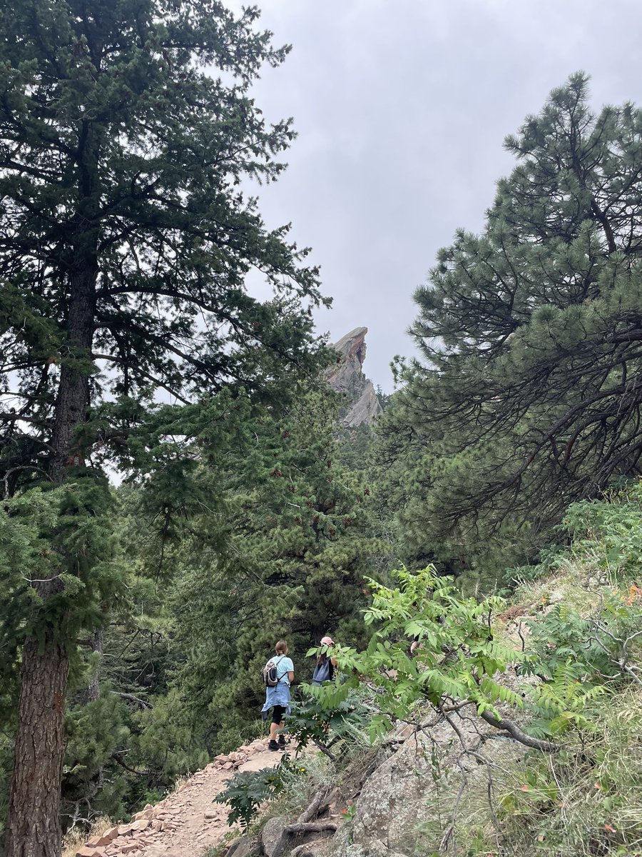 Sam Duncan 🌱 tweet media