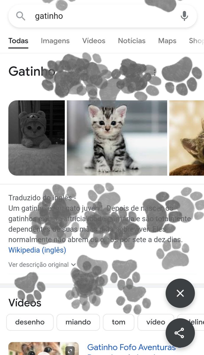 se vc pesquisar "gatinho" e apertar no botão laranja qlqr canto da tela q vc clicar vai vir uma pata de gato e deixar uma pegada