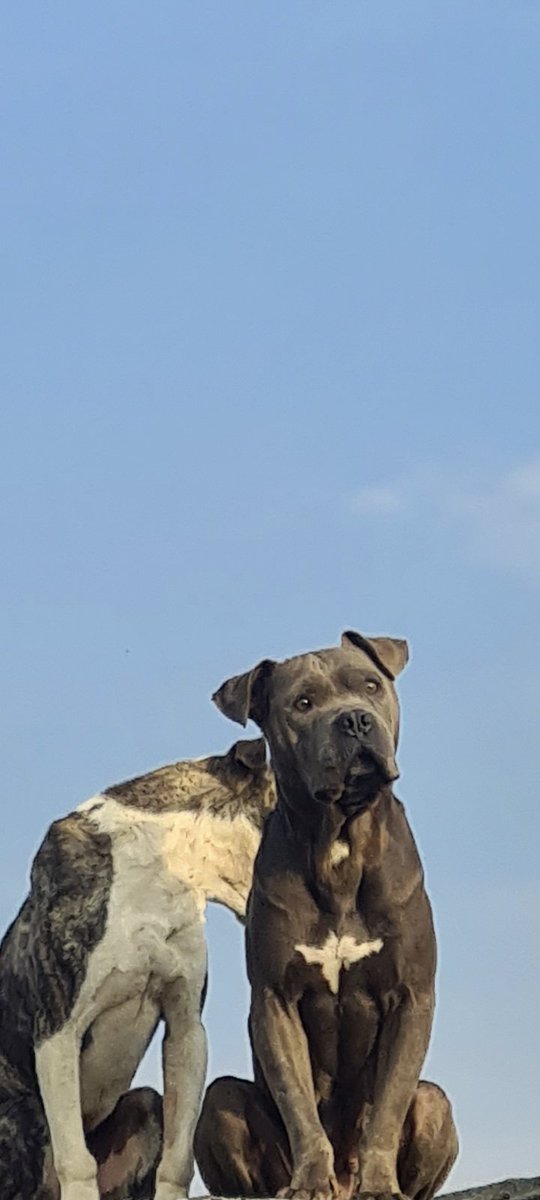 Ramón Luna (@ramnluna18) on Twitter photo 