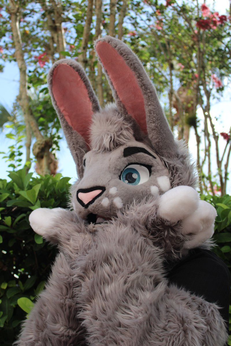 flotography22's tweet photo. Thanks so much to @MaizMaize for a fun shoot! I learned a lot about shooting fursuits and they made it a great experience! #FursuitFriday #Megaplex2022 https://t.co/VIR1H88ZSd