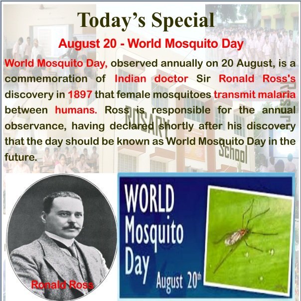 #WorldMosquitoDay is being observed across the globe today to raise awareness about causes of malaria.

Lets remember Sir #RonaldRoss discovery

#StopMalaria #RajivGandhi #TNPSC