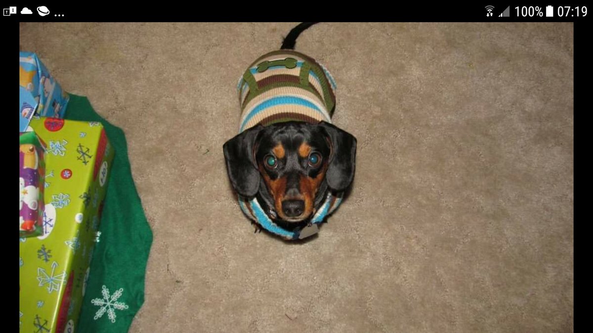 Mitchael tweet media