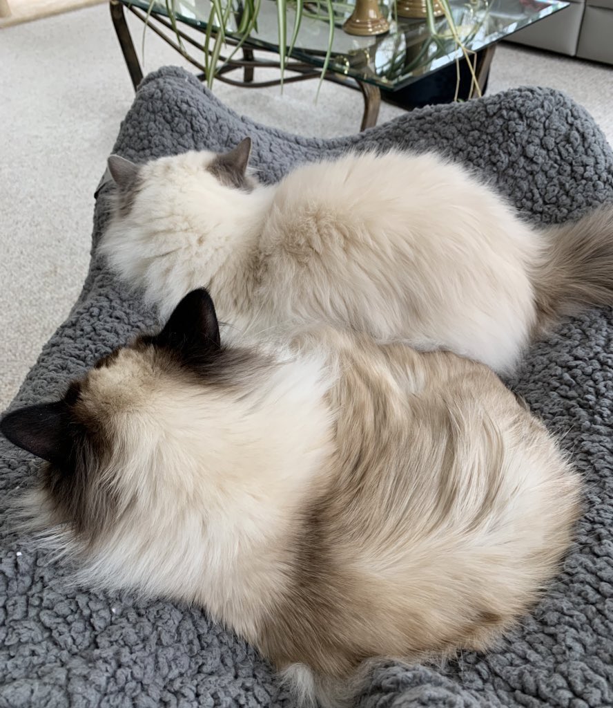 Elizabeth Griffith tweet media