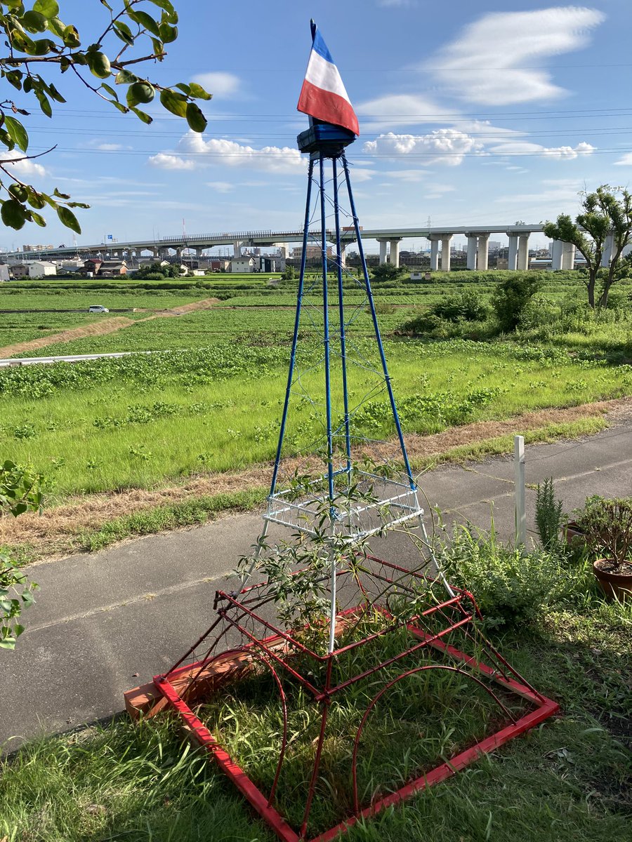 uboat717's tweet photo. モッコウバラの誘因支柱にエッフェル塔作った！ https://t.co/Ps8IRQNIU9