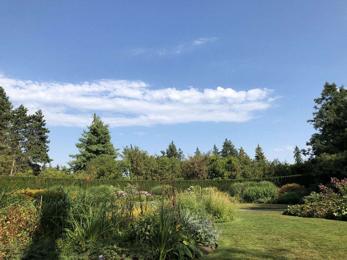canada_web_dev tweet picture