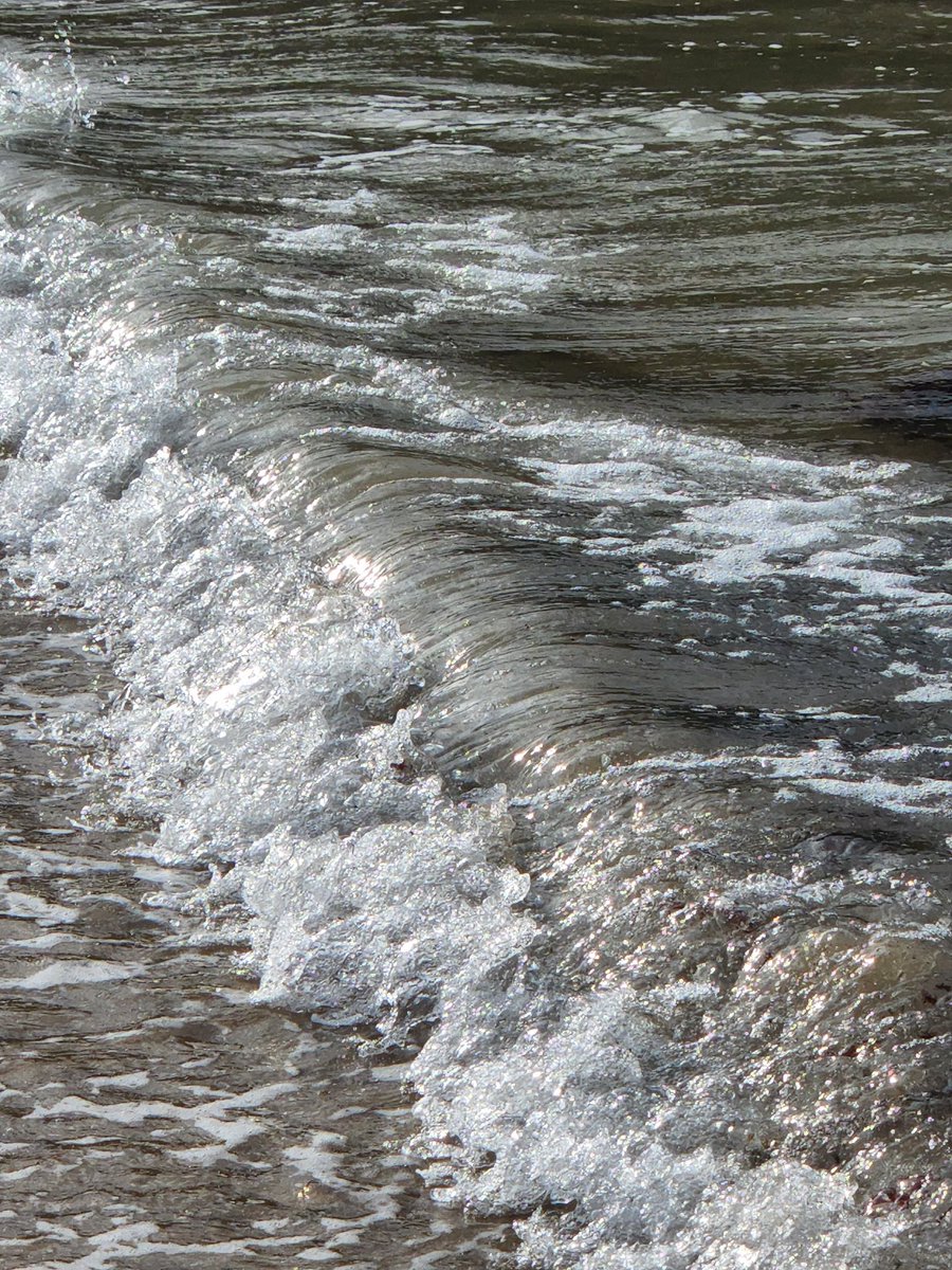 iamxudy's tweet image. 왼쪽에서 오른쪽같은 느낌으로 사진이 바뀔 수 있는 보정법 타래
*상황, 빛, 색감에 따라 바뀔 수 있음*
* 갤럭시 s22기종 사용