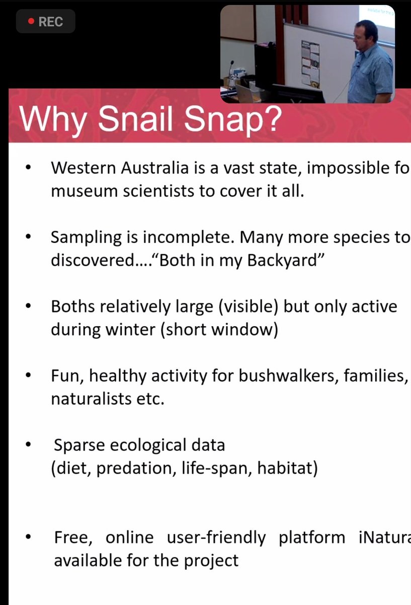 CitSci_Geek's tweet image. Have you heard of @SnailSnap #CitizenScience project on @inaturalist?

I&apos;m learning new things today online at the free Pathways to #CiSci from @CitSciOZ WA and WA Museum!