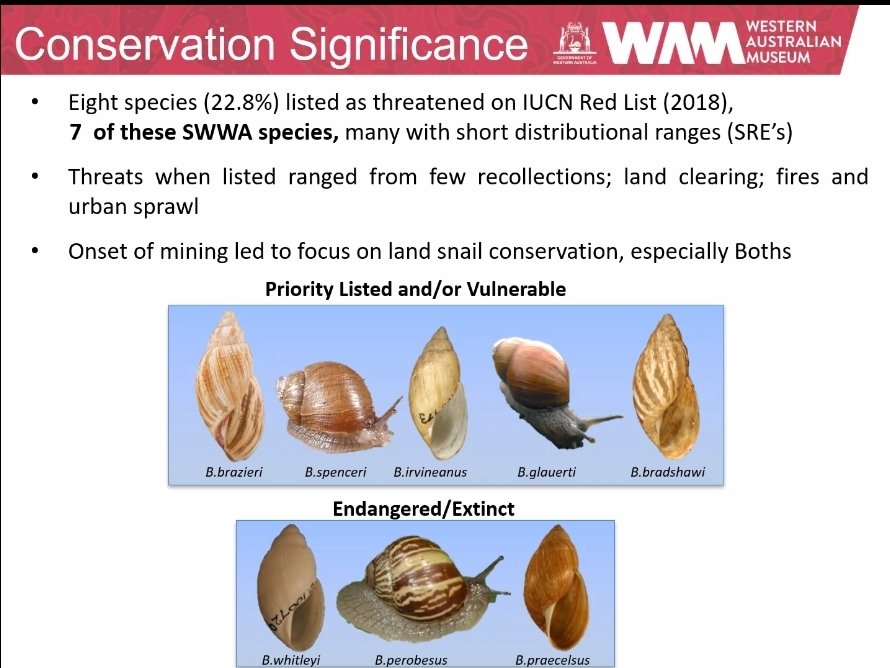 CitSci_Geek's tweet image. Have you heard of @SnailSnap #CitizenScience project on @inaturalist?

I&apos;m learning new things today online at the free Pathways to #CiSci from @CitSciOZ WA and WA Museum!