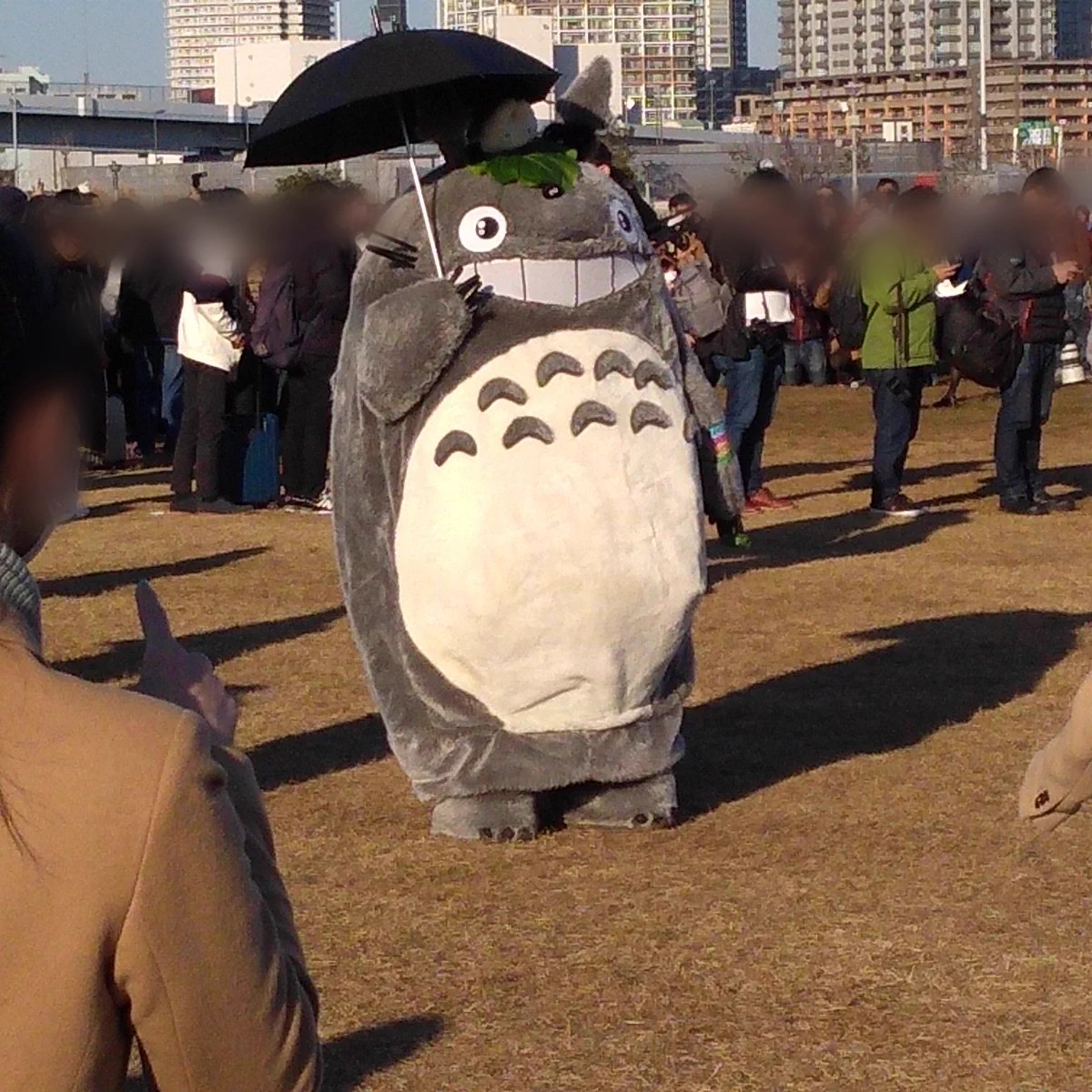 @nonko_hidaka531 トトロいた！ヽ(=´▽`=)ﾉ 