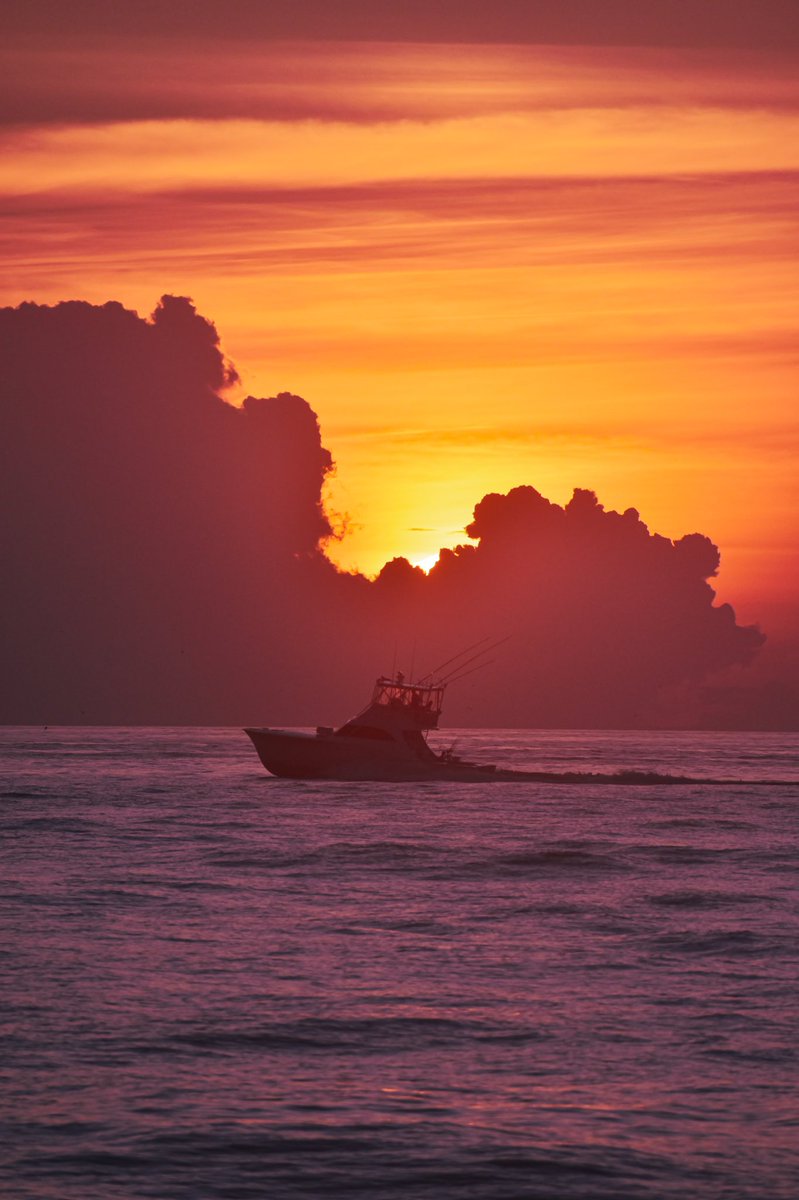 emilyy_fowler's tweet photo. Sunrise moments 🌅 https://t.co/Lb9Tbu6AeB
