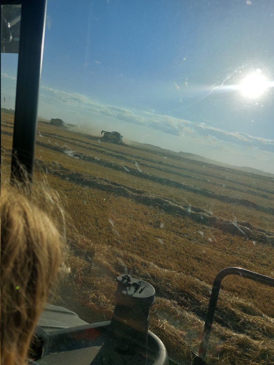 dellseeds's tweet photo. Harvest 22 begins https://t.co/gMjZ8WgLcx
