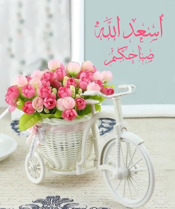 صباح الخير لاولئك الذين نراهم كـ ورود بشكل بشر وعلى هيئة أشخاص مبتسمين دوما كغيمة فرح وشمس الصباح 🌞