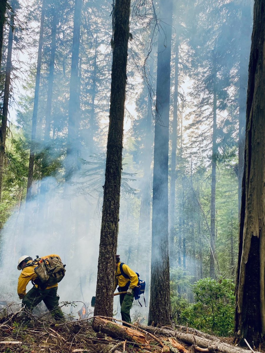 RRSNF's tweet photo. Firefighting efforts have resulted in only three fires left to reach containment on the #RRSNF. One new fire was found by the aerial recon flight this afternoon, and firefighters are currently hiking in to the fire. Read the complete update here - https://t.co/AOKsKsRVtw https://t.co/tBHuWAMgKF