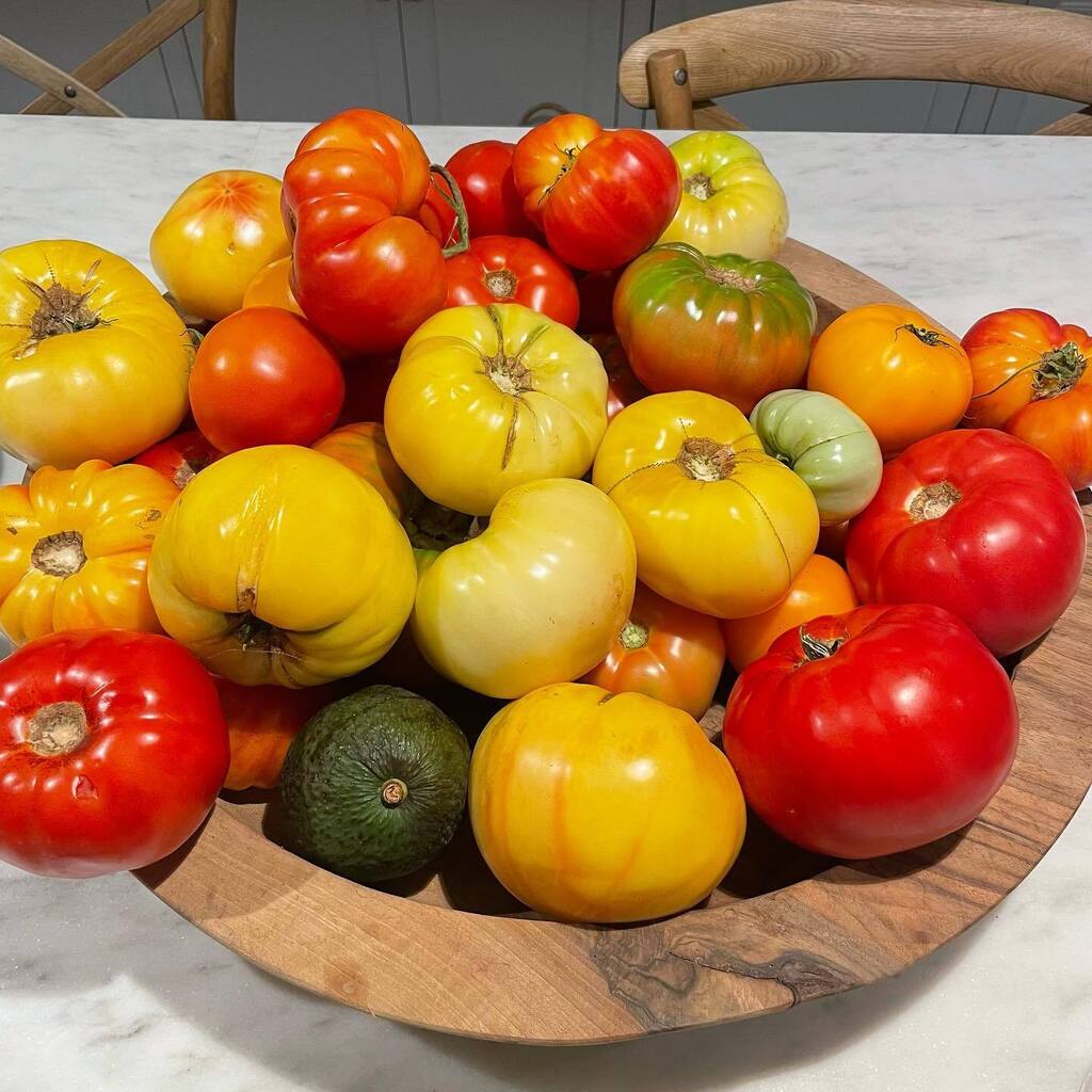 IsmeeWilliams's tweet photo. Ok, this is getting ridiculous. Please send all tomato recipes my way ASAP! We are overflowing (and this is after unloading on grandparents and neighbors 😂). After two summers of not having a veggies garden, I went a little overboard. 🙄🍅🍅🍅
.
.
#garden #summer #vegetableg… https://t.co/VTAqqYC9bo