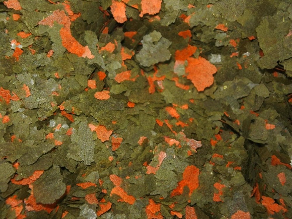 aquafooduk's tweet image. Like and Share if you want this Malawi Flakes
Price starts from 4.50 GBP
Tag a friend who would love this!
Go and get it at aquafood.co.uk/product/malawi…
#fishflakes #fishfoods #malawiflakes
#aquarium