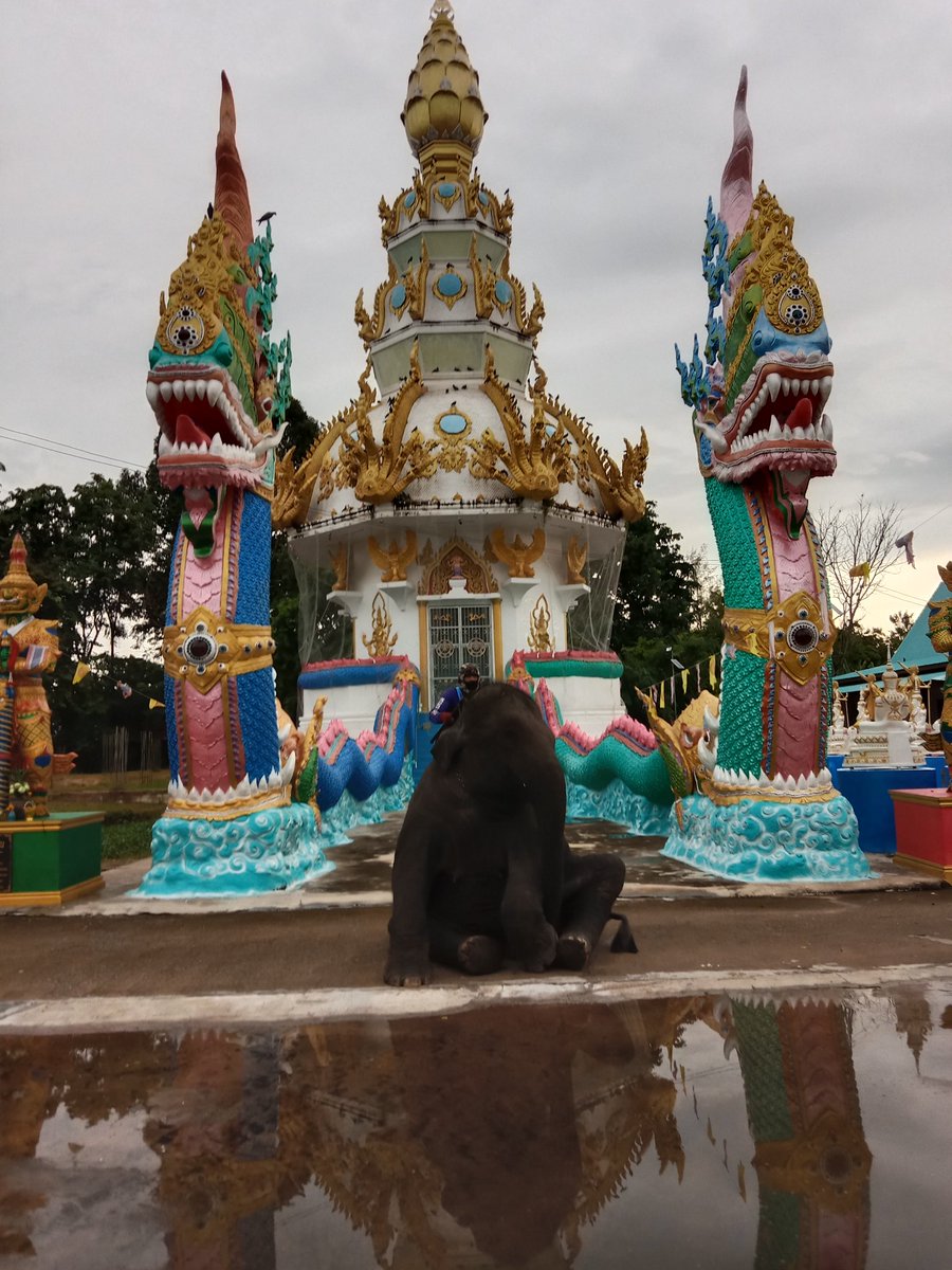 พรทิพย์ แสงนิล (พังโมแฮร์) tweet media