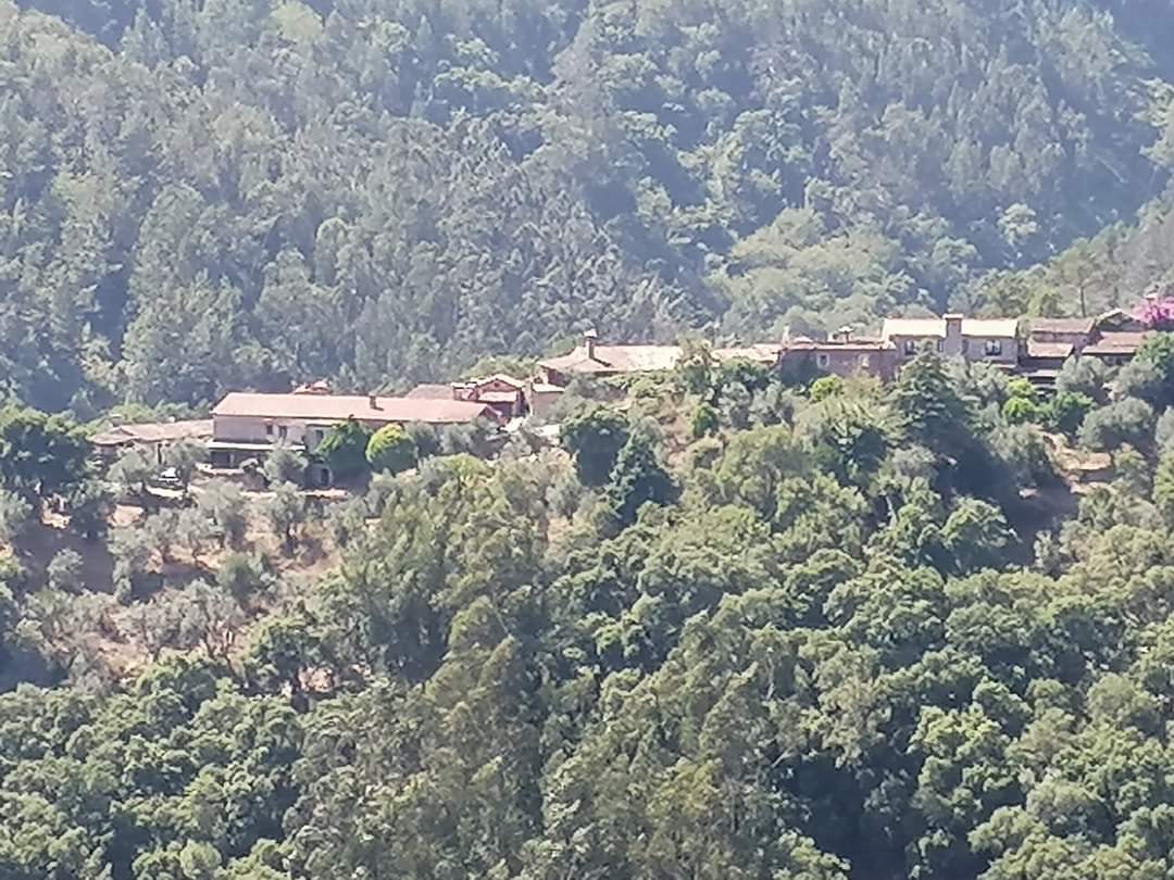 skymanuelima's tweet photo. O Miradouro proporciona ao visitante uma das melhores vistas sobre as Fragas de São Simão. Daqui se avista a Praia Fluvial, a Aldeia do Xisto, Casal de São Simão, e os contornos da imponente crista quartzítica. #FigueiróDosVinhos #miradouro #passadicos #FragasDeSãoSimão #Portugal https://t.co/ALBZhh10Sk