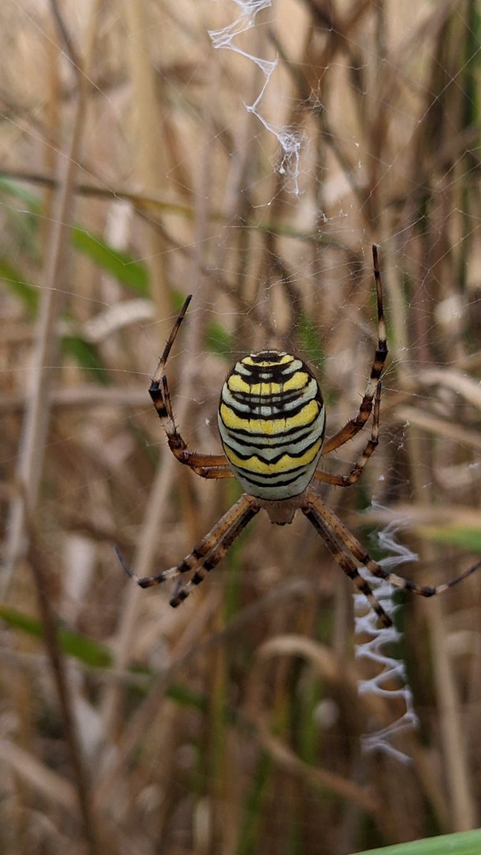 Daisy Meadowcroft tweet media