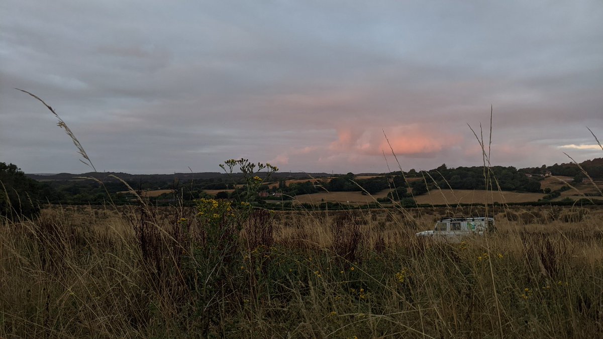 Daisy Meadowcroft tweet media