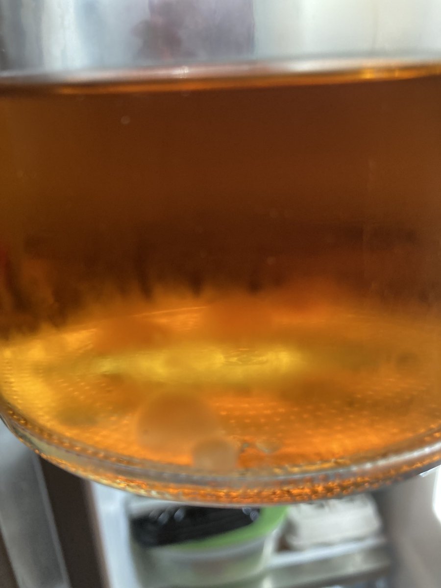 BrianBurwell's tweet photo. I think I've created a new form of life in this tea that has been in my refrigerator for a few weeks. 😱 I am a GOD! 😇 https://t.co/bj6r9RN9tY