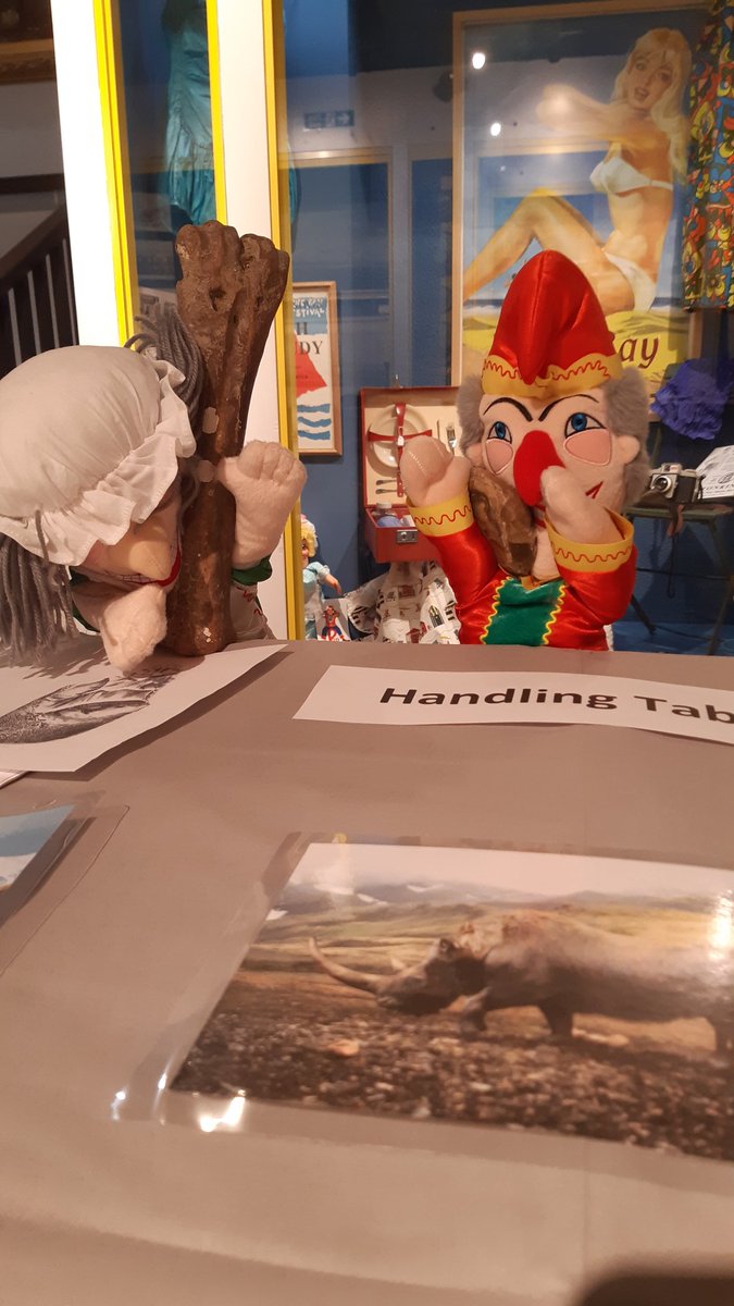 We're all set up and ready to go for our Flints and Fossils day. See you soon. Today, 20 August 11am to 4pm.
#HerneBay #CommunityMuseum #FlintsandFossils #HerneBayFestival2022