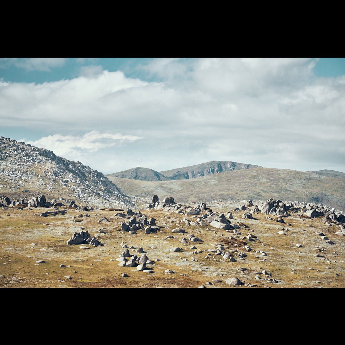TysonMillar's tweet photo. Summer days on the #MainRange #kosciuszko National Park. Taken last summer for a client. https://t.co/6zVb4mBl42
