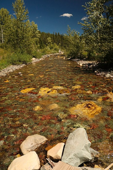 akmac77's tweet photo. New artwork for sale! - "Montana Creek" - https://t.co/faGlNUqZ2o @fineartamerica https://t.co/IF0j2PUcN5
