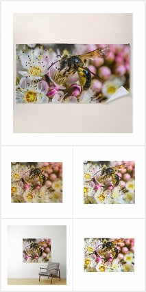 LowellMcnamara's tweet photo. https://t.co/nWx5TD9dQL... #Beeintheneighborhood #Bees #Bee #flowers #Plants #Nature #Originalphotography #LookAgain #LookAgainPhotography #Zazzle Original photography by Daniel McNamara https://t.co/I754yJ9oRZ