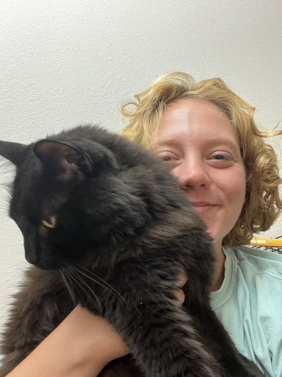 kalinjes's tweet photo. i’m tipsy and love my cat https://t.co/sDmE2kjnDm